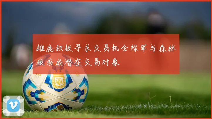 雄鹿积极寻求交易机会绿军与森林狼或成潜在交易对象